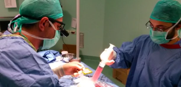Creato un fegato bio artificiale